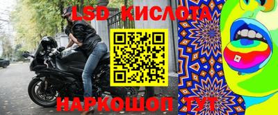 крисы Коммунар