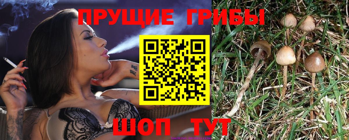 Клин  Галлюциногенные грибы прущие грибы  где купить наркотик  Вход с VPN  Псилоцибиновые грибы прущие грибы 